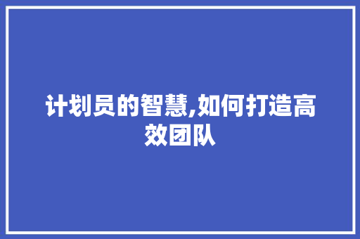 计划员的智慧,如何打造高效团队