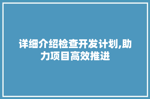 详细介绍检查开发计划,助力项目高效推进