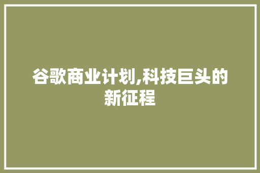 谷歌商业计划,科技巨头的新征程