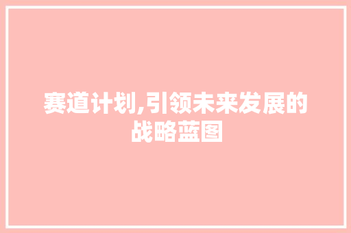赛道计划,引领未来发展的战略蓝图