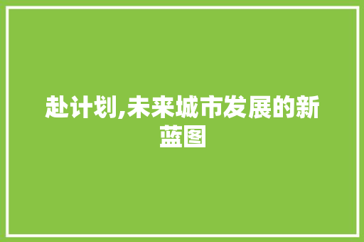赴计划,未来城市发展的新蓝图