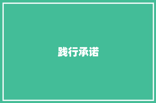 践行承诺，共筑美好未来_以XX项目为例