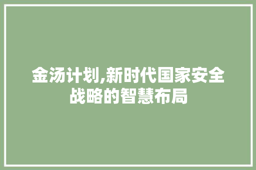 金汤计划,新时代国家安全战略的智慧布局
