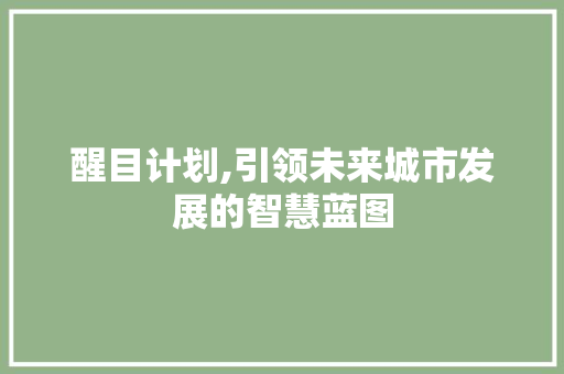 醒目计划,引领未来城市发展的智慧蓝图