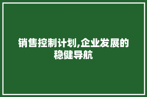 销售控制计划,企业发展的稳健导航