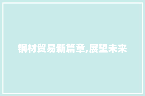 钢材贸易新篇章,展望未来，共筑钢铁强国梦