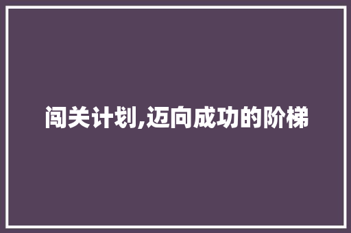 闯关计划,迈向成功的阶梯