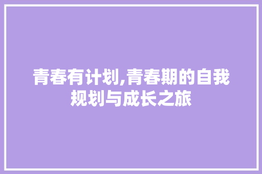 青春有计划,青春期的自我规划与成长之旅