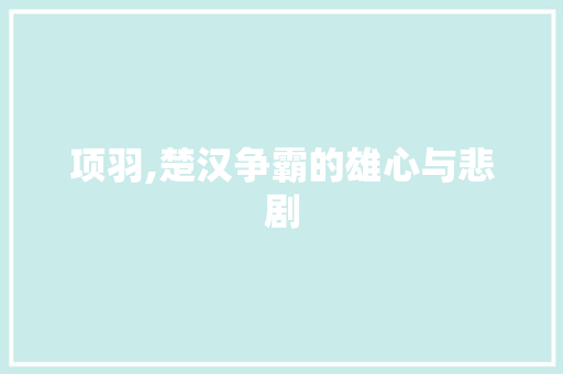 项羽,楚汉争霸的雄心与悲剧
