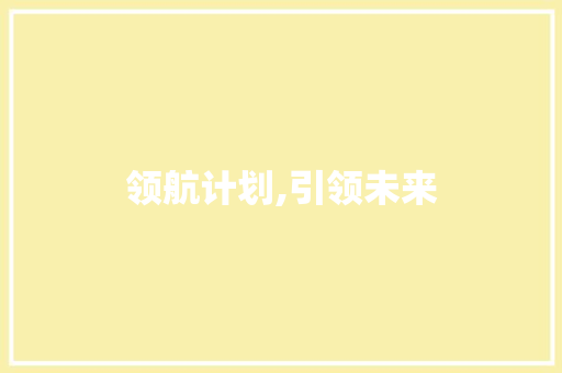领航计划,引领未来，共创辉煌