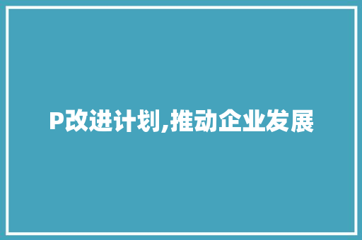 P改进计划,推动企业发展，实现可持续发展