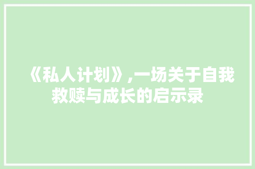 《私人计划》,一场关于自我救赎与成长的启示录