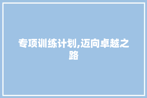 专项训练计划,迈向卓越之路