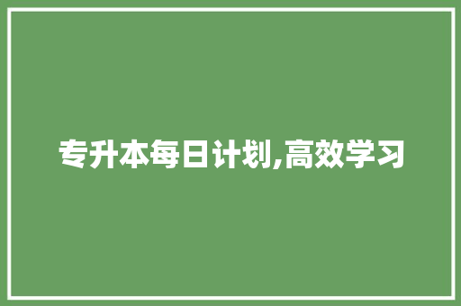 专升本每日计划,高效学习，迈向美好未来