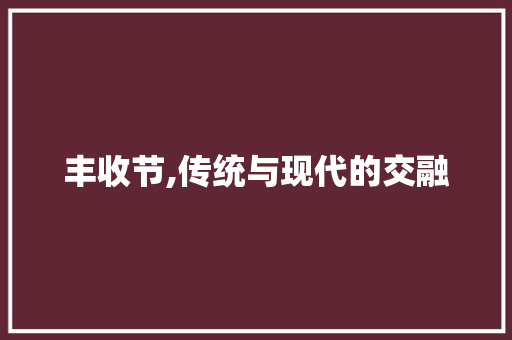 丰收节,传统与现代的交融，庆祝收获的盛宴