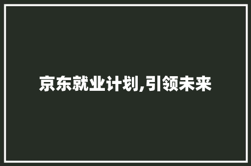 京东就业计划,引领未来，赋能青年成长的新篇章