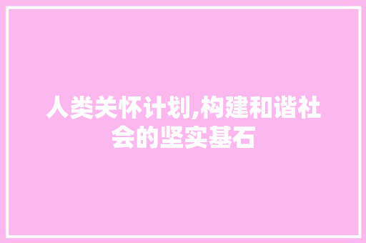 人类关怀计划,构建和谐社会的坚实基石