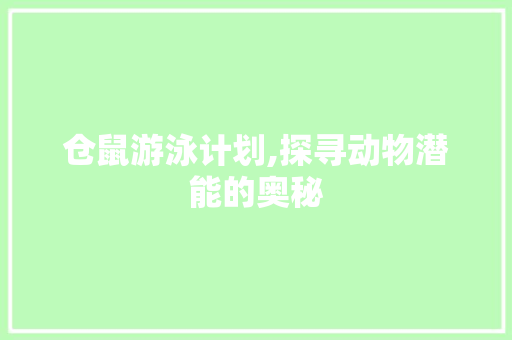仓鼠游泳计划,探寻动物潜能的奥秘