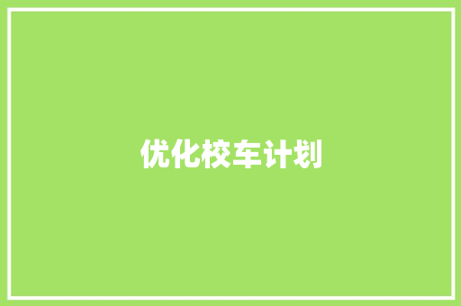 优化校车计划，守护孩子成长之路_以XX市为例