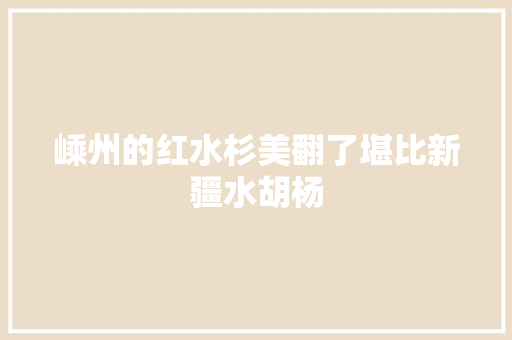 嵊州的红水杉美翻了堪比新疆水胡杨