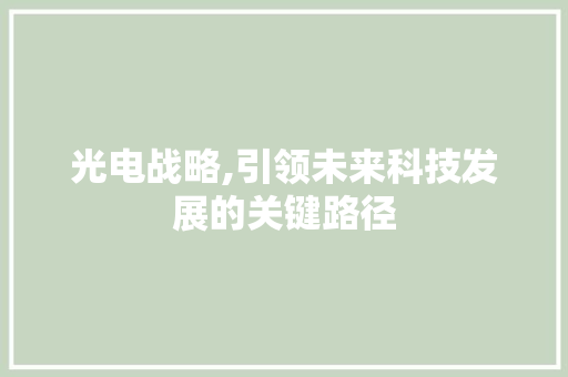 光电战略,引领未来科技发展的关键路径