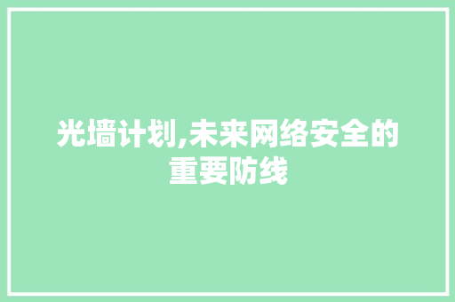 光墙计划,未来网络安全的重要防线