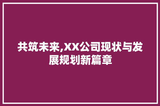 共筑未来,XX公司现状与发展规划新篇章