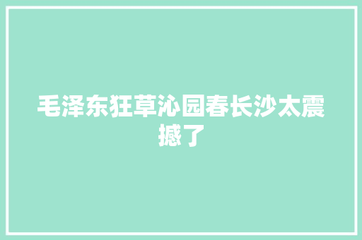 毛泽东狂草沁园春长沙太震撼了
