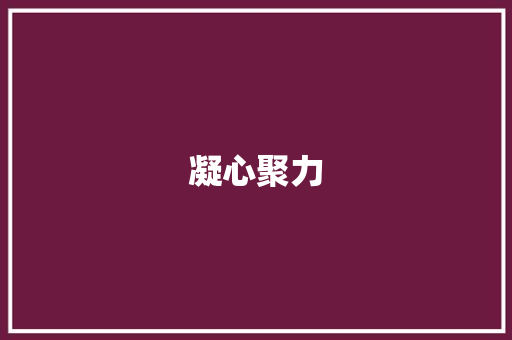 凝心聚力，砥砺前行_2015党务计划解读
