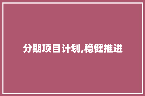 分期项目计划,稳健推进，共创美好未来