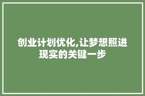 创业计划优化,让梦想照进现实的关键一步
