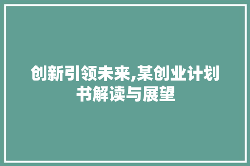 创新引领未来,某创业计划书解读与展望