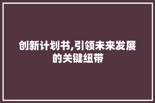 创新计划书,引领未来发展的关键纽带