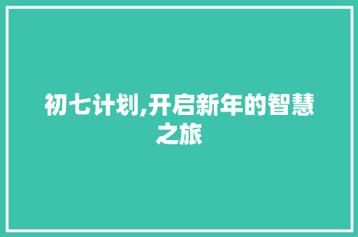 初七计划,开启新年的智慧之旅