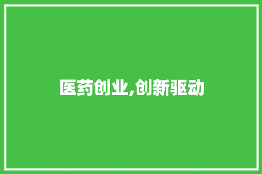 医药创业,创新驱动，健康未来_一份详尽的计划书解读