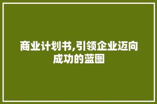 商业计划书,引领企业迈向成功的蓝图