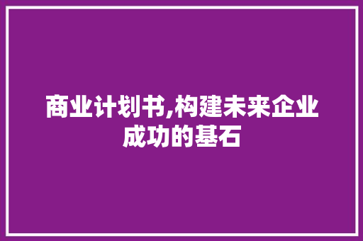 商业计划书,构建未来企业成功的基石