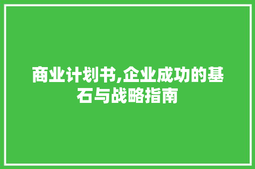 商业计划书,企业成功的基石与战略指南