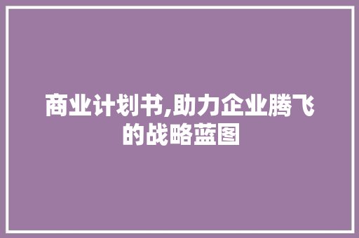 商业计划书,助力企业腾飞的战略蓝图
