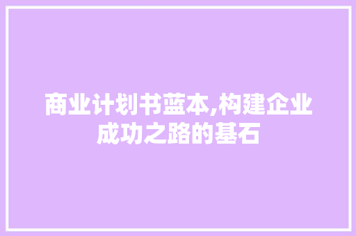商业计划书蓝本,构建企业成功之路的基石