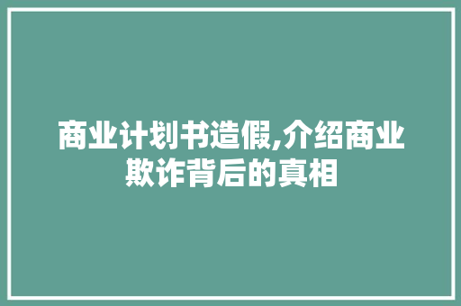 商业计划书造假,介绍商业欺诈背后的真相