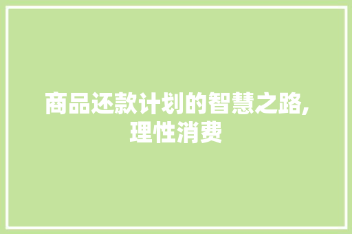 商品还款计划的智慧之路,理性消费，轻松理财