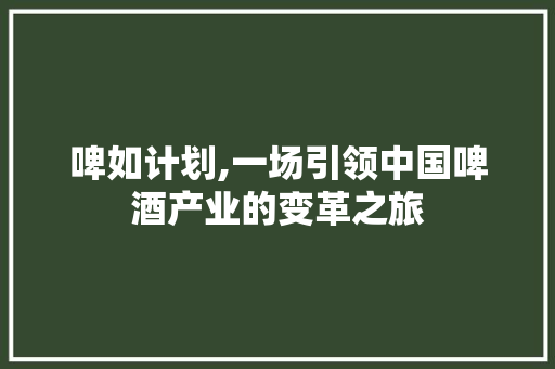 啤如计划,一场引领中国啤酒产业的变革之旅