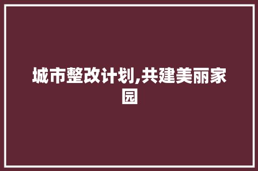 城市整改计划,共建美丽家园，共创美好生活