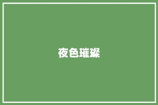 夜色璀璨，美食盛宴_打造特色夜市，点亮城市经济新亮点