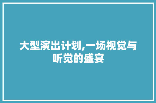 大型演出计划,一场视觉与听觉的盛宴