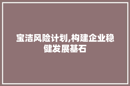 宝洁风险计划,构建企业稳健发展基石