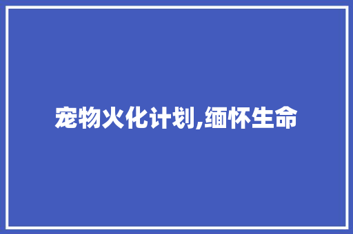 宠物火化计划,缅怀生命，传承情感_一场别开生面的告别仪式
