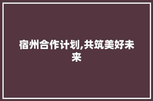 宿州合作计划,共筑美好未来，携手共创辉煌