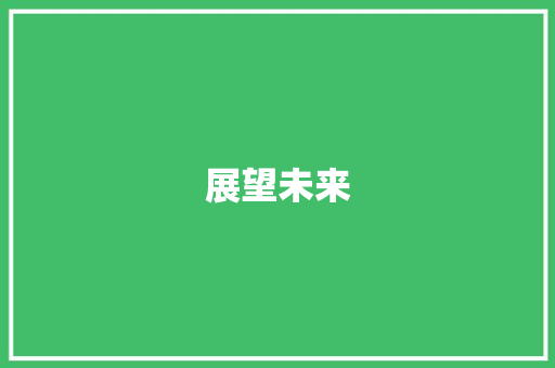 展望未来，共筑美好明天_计划书实施之路